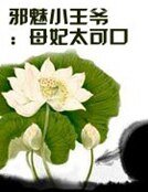 邪魅小王爷:母妃太可口