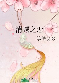清城之恋