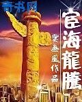 宦海龙腾